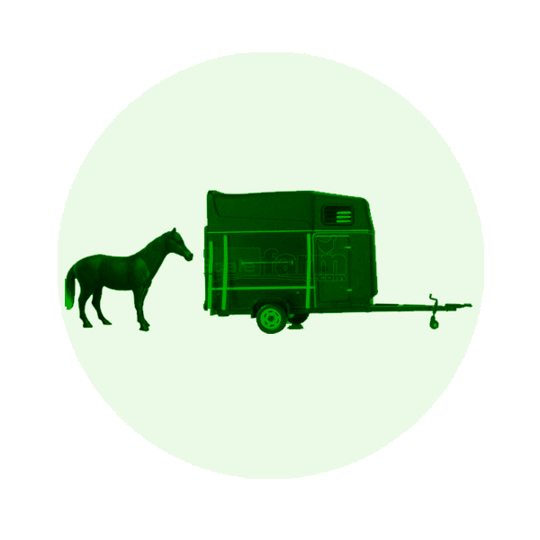 Horse Boxes and Trailers