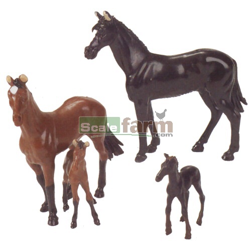 Mares and Foals