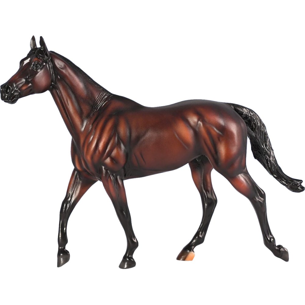 Cody's Wish - Thoroughbred Racehorse