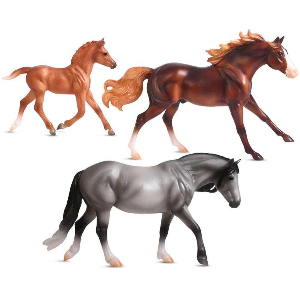 Playful Pony Family