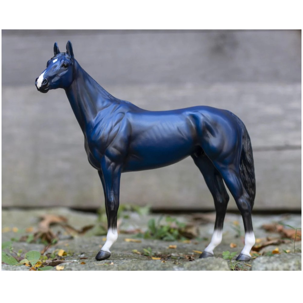 Big Lex - Decorator Thoroughbred - Image 1