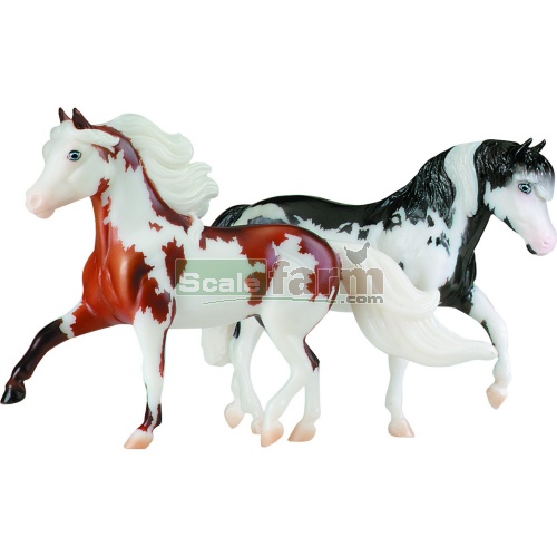 Red Cloud and Grand Slam - Miniature Horses