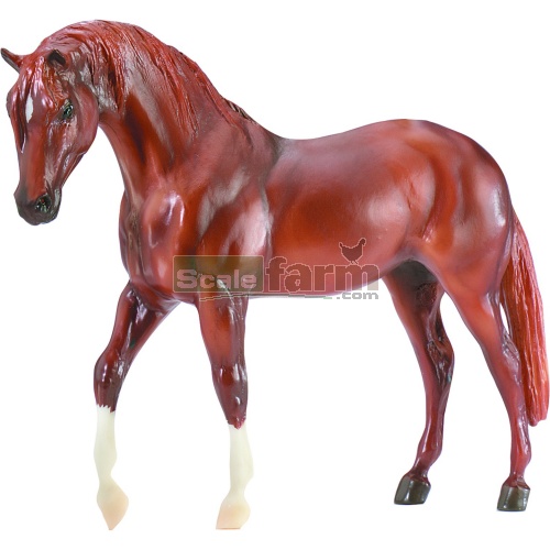 Toreo - Azteca Horse