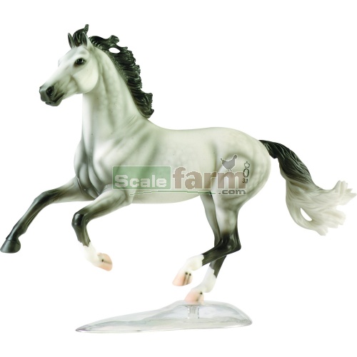 Ideal Oldenburg Stallion