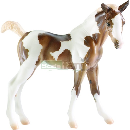Takoda - Paint Foal