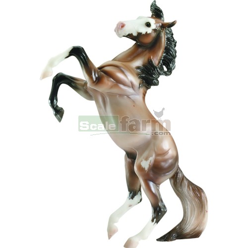 Dun Sabino Mustang - Where in the World is Pegasus?
