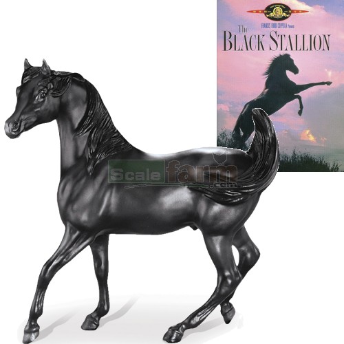 Black Stallion with The Black Stallion DVD
