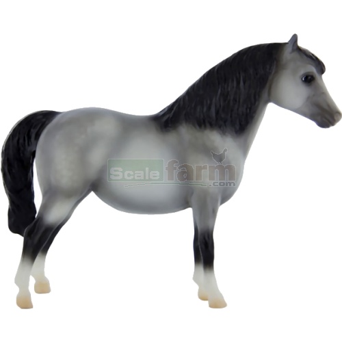 Shetland Pony - Spirit of the Horse