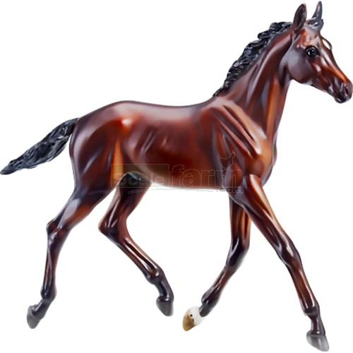 Zenyatta's First Colt - Spirit of the Horse