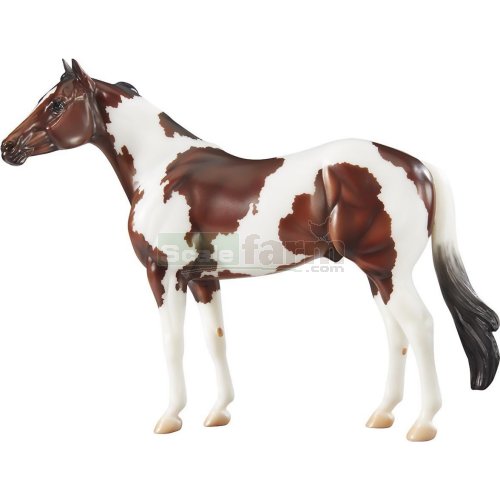 American Paint Horse - Ideal Series