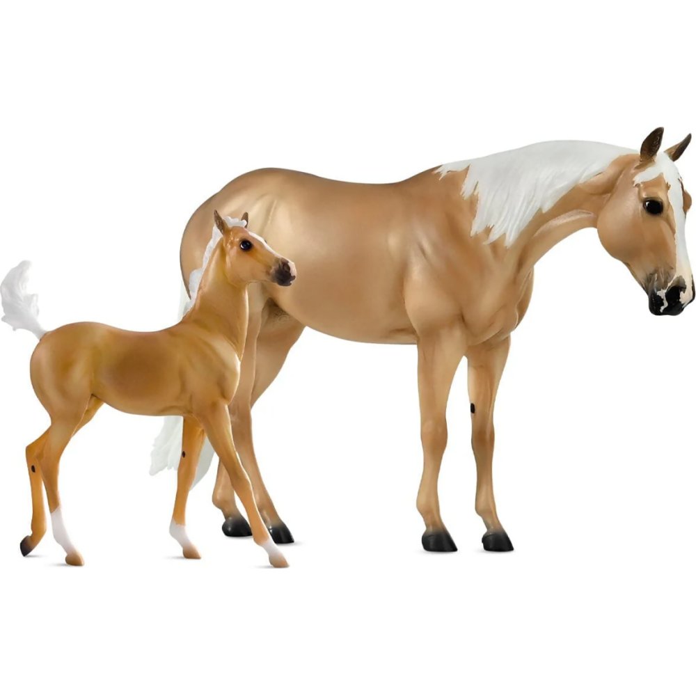 Ebony Shines and Charlize - Quarter Horse and Foal