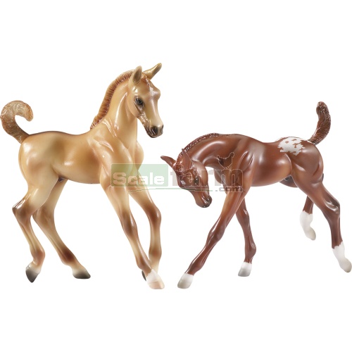 Appaloosa - Chestnut And Quarter Horse - Dun Foals