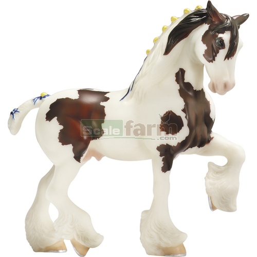 American Spotted Draft Horse