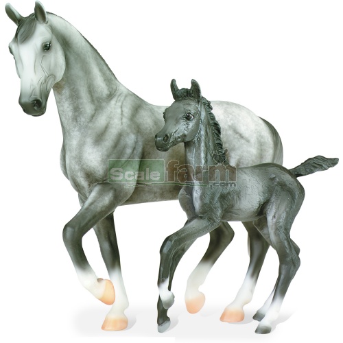 Grey Warmblood Horse & Foal