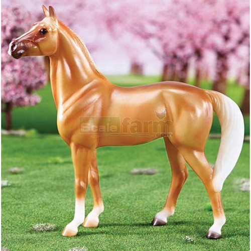 Amelia Appendix Quarter Horse - 2014 Horse of the Year