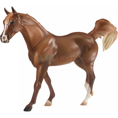 S Justadream - Champion Arabian - Spirit Of The Horse