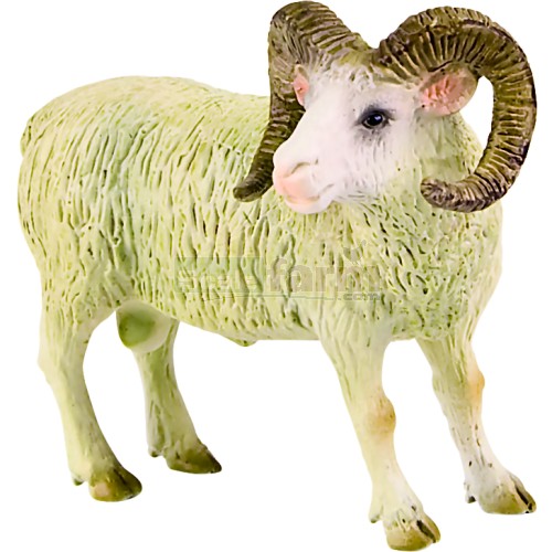 Ram with Large Horns