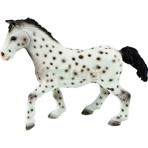 Knabstrupper Mare