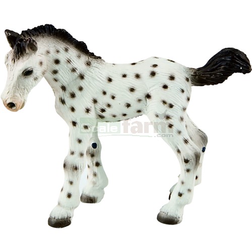 Knabstrupper Foal