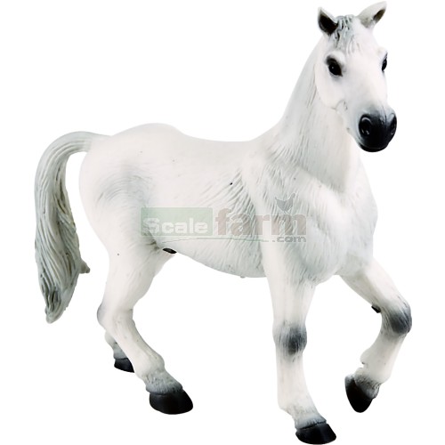 Oldenburger Saddle Horse