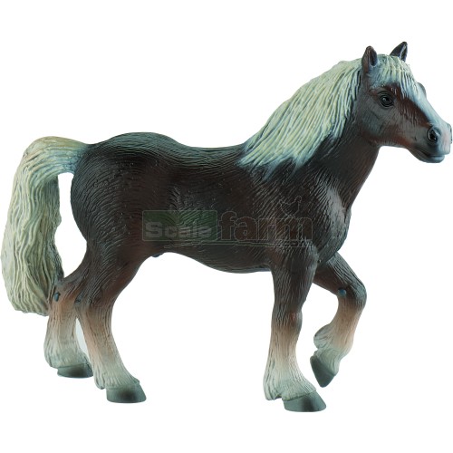 Black Forest Stallion