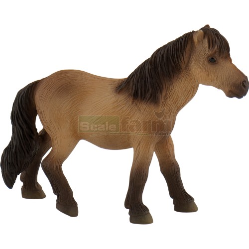 Falabella Pony