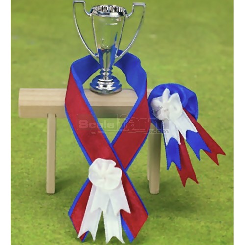 Championship Winner's Cup and Ribbon Set