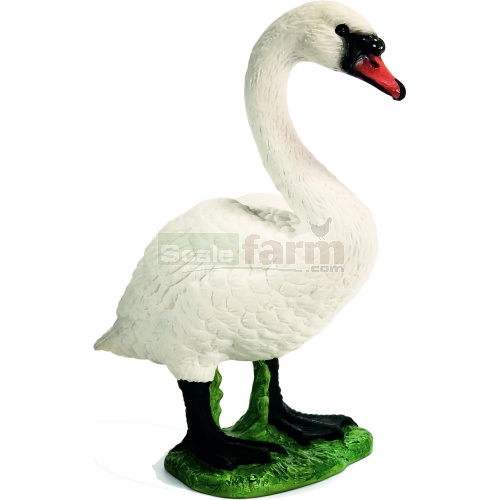 White Swan, female