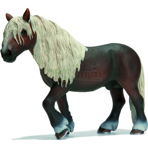 Black Forest Stallion
