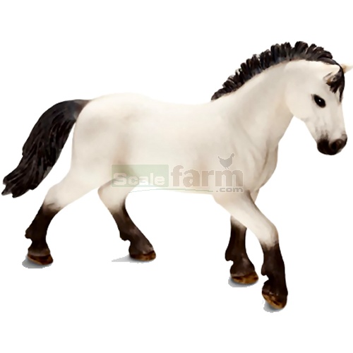 Camargue Stallion
