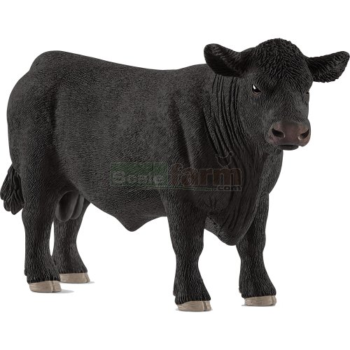 Black Angus Bull