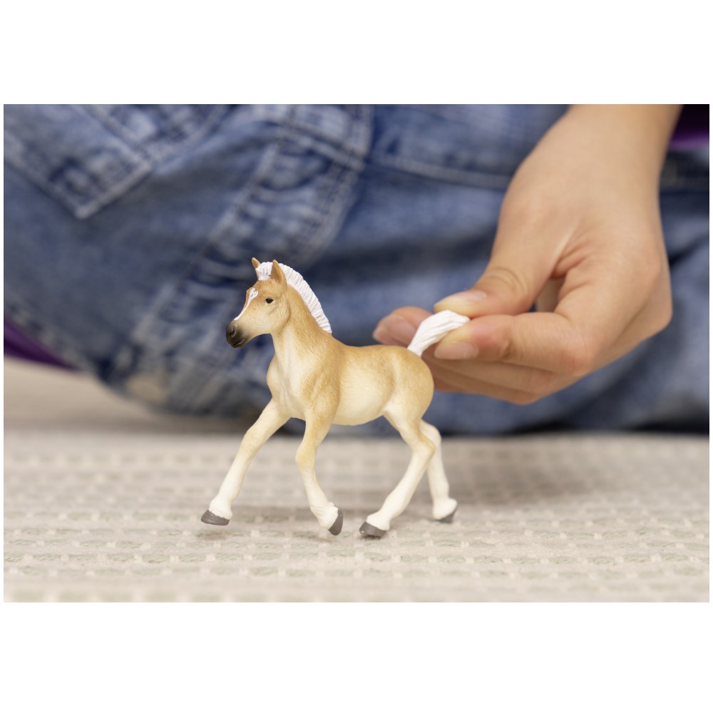 Haflinger Foal - Image 1