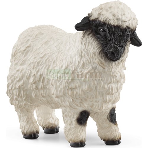 Valais Black-Nosed Sheep