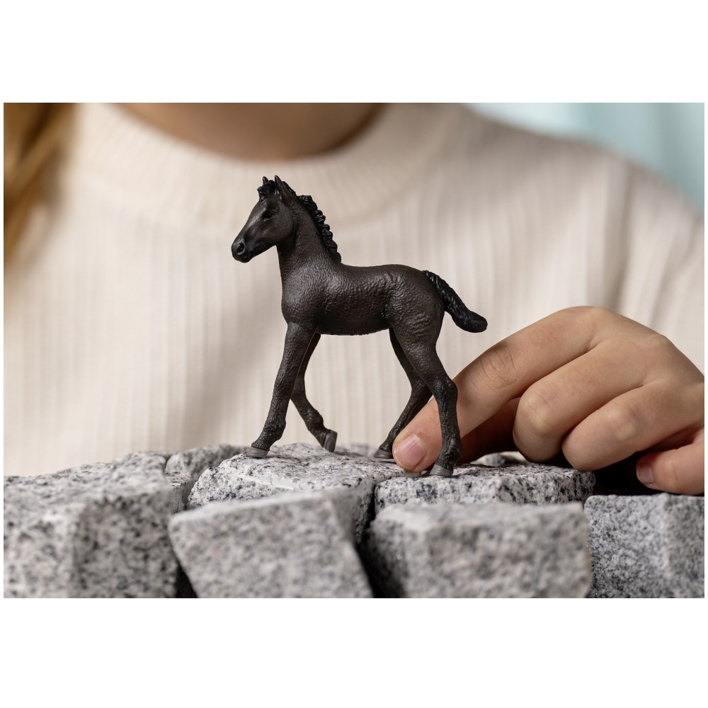 Friesian Foal - Image 1