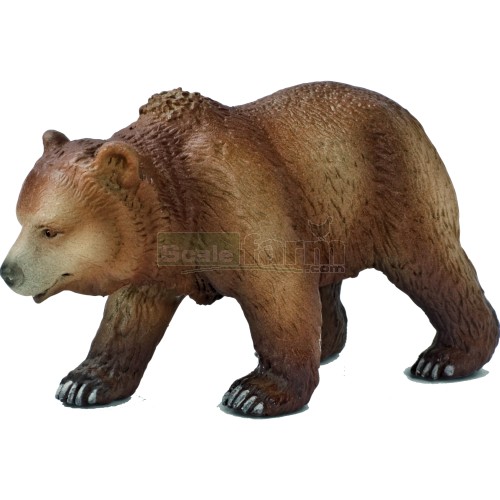 Grizzly Bear, Female