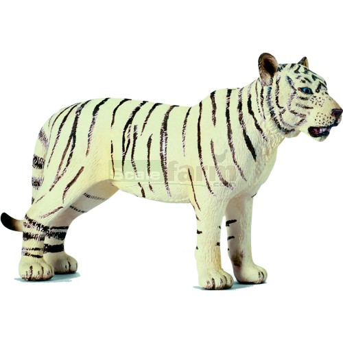Tigress, White