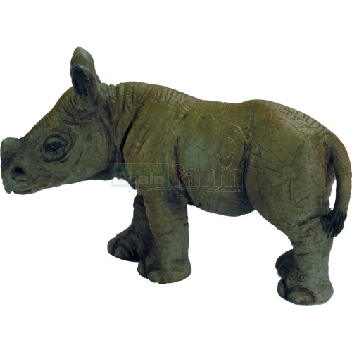 African Black Rhino Calf