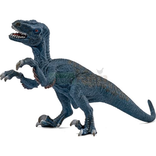 Velociraptor, Small