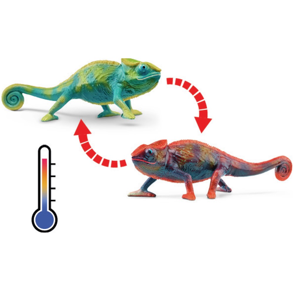 Chameleon - Colour Changing - Image 1