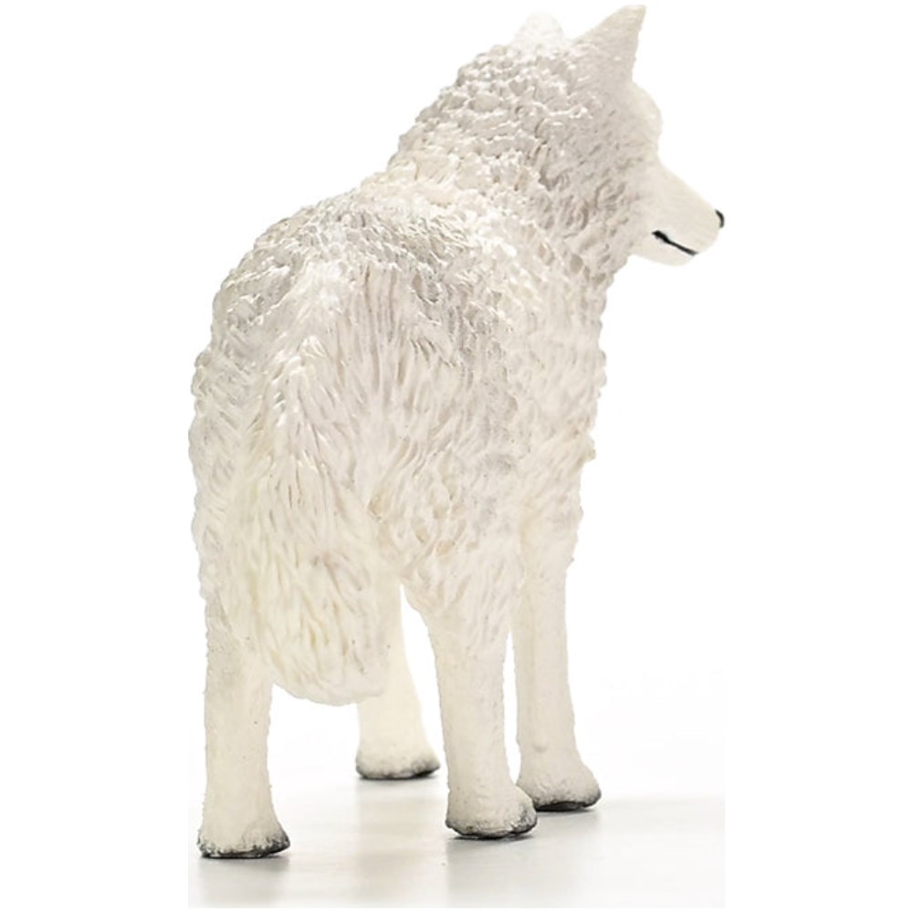 Arctic Wolf - Image 1