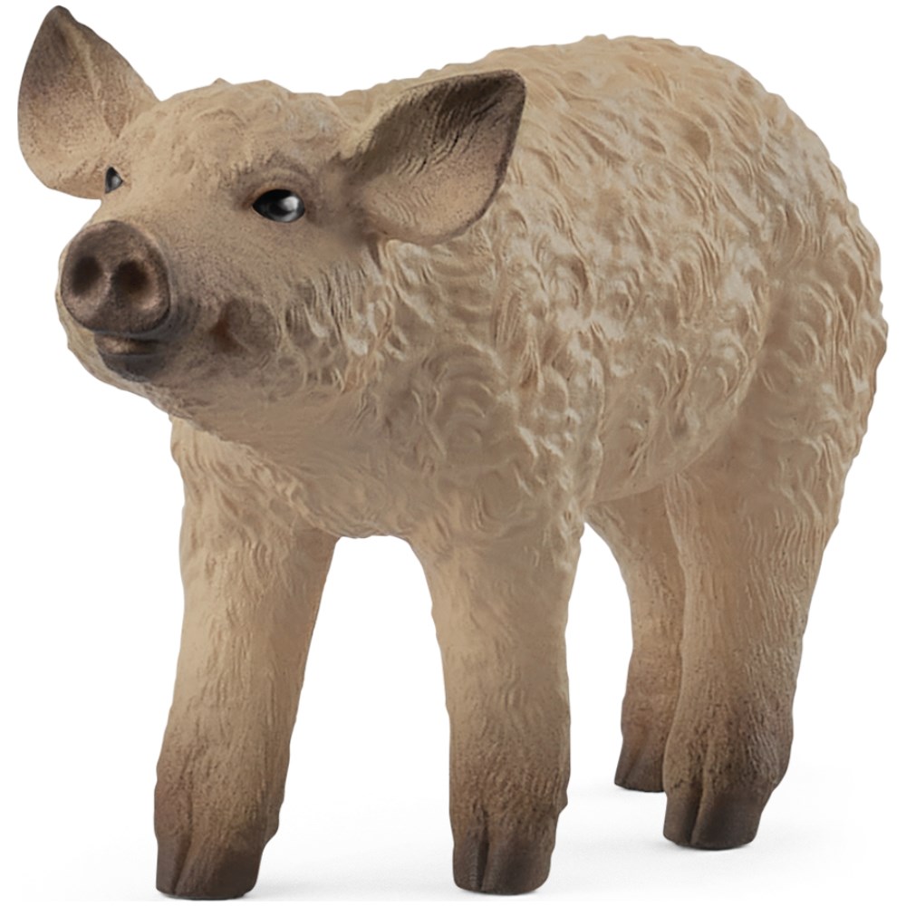 Mangalica Piglet