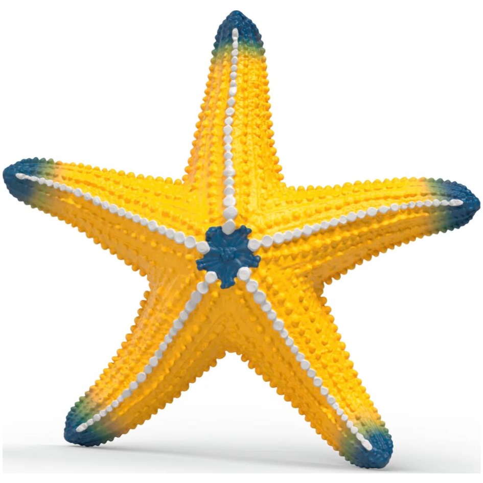 Starfish with Colour Change