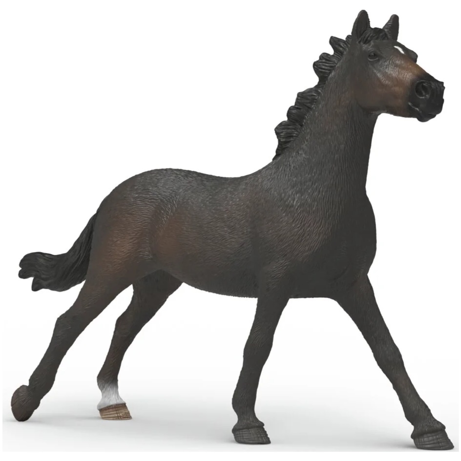 English Thoroughbred Mare