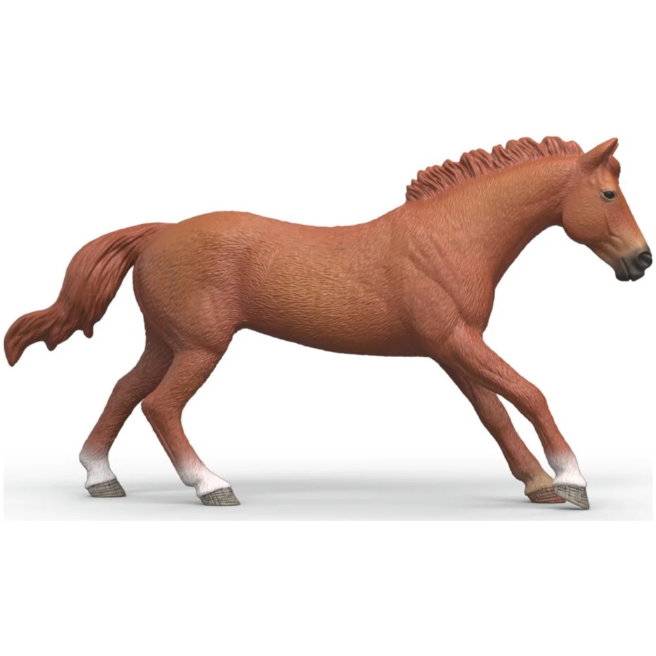 English Thoroughbred Stallion - Image 1