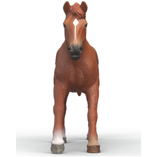 English Thoroughbred Stallion - Image 2