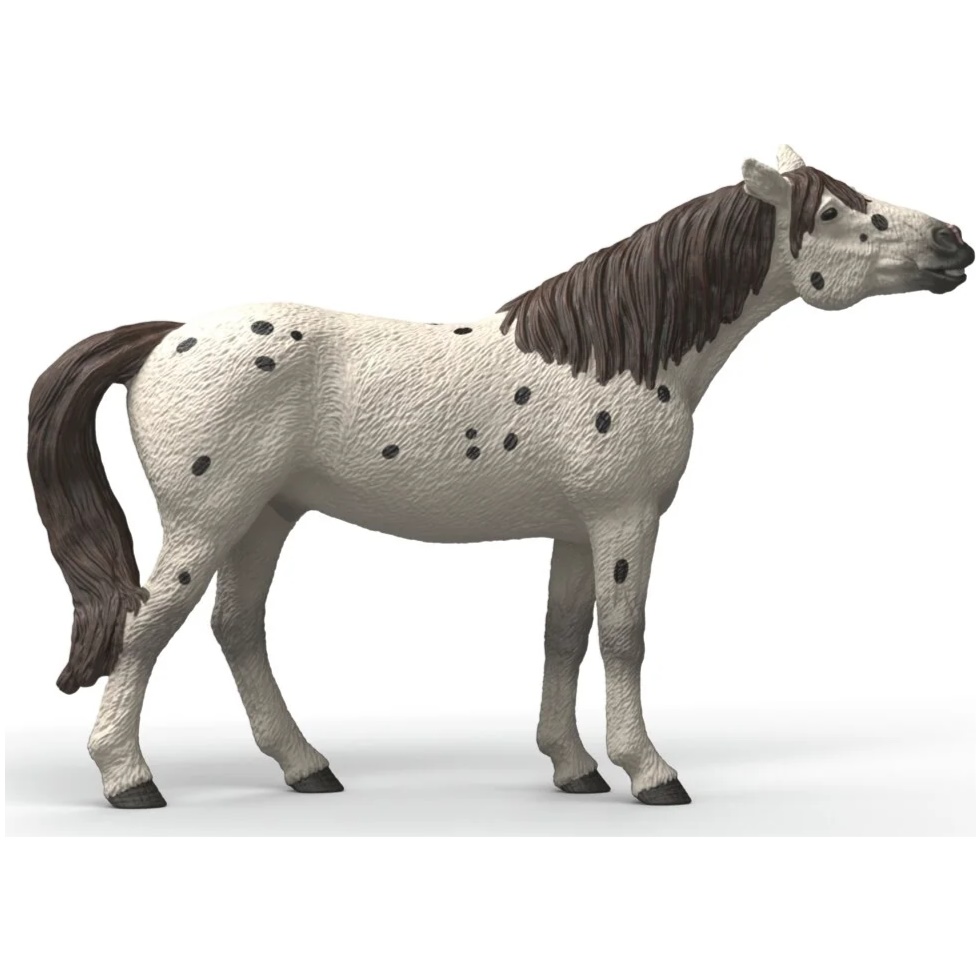 Knabstrupper Gelding - Image 3
