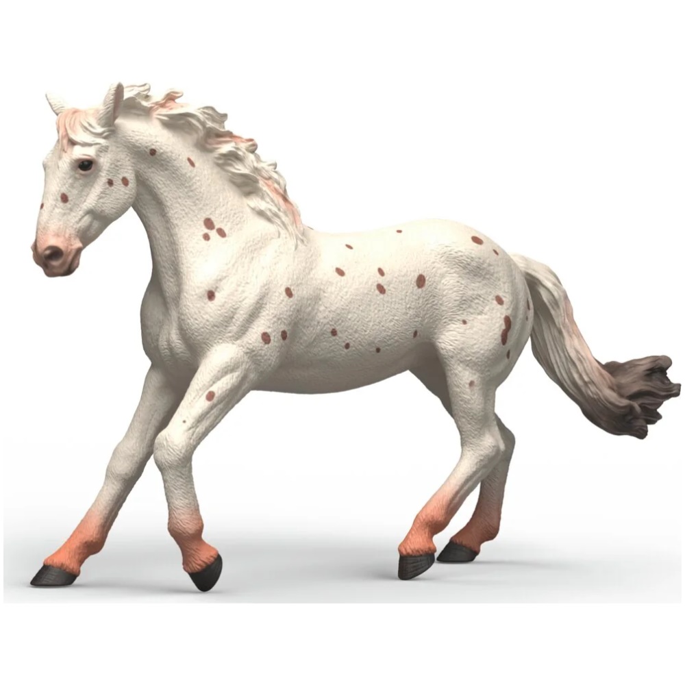 Knabstrupper Mare - Image 1