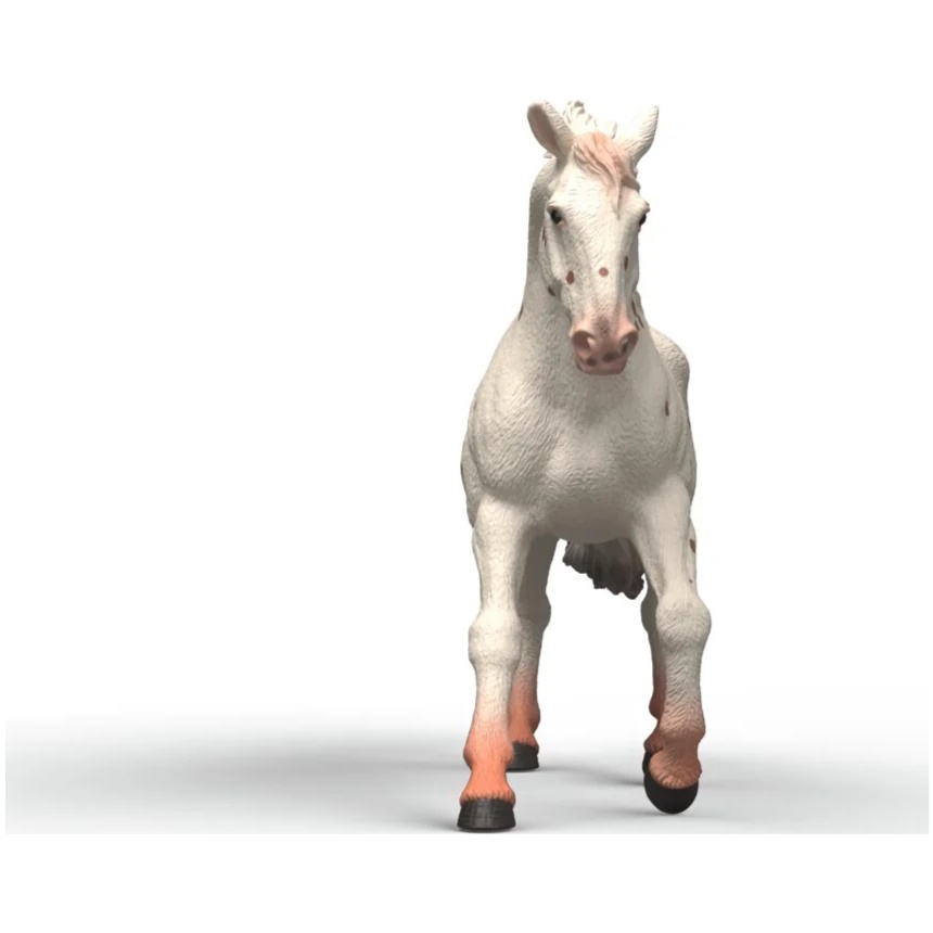 Knabstrupper Mare - Image 2