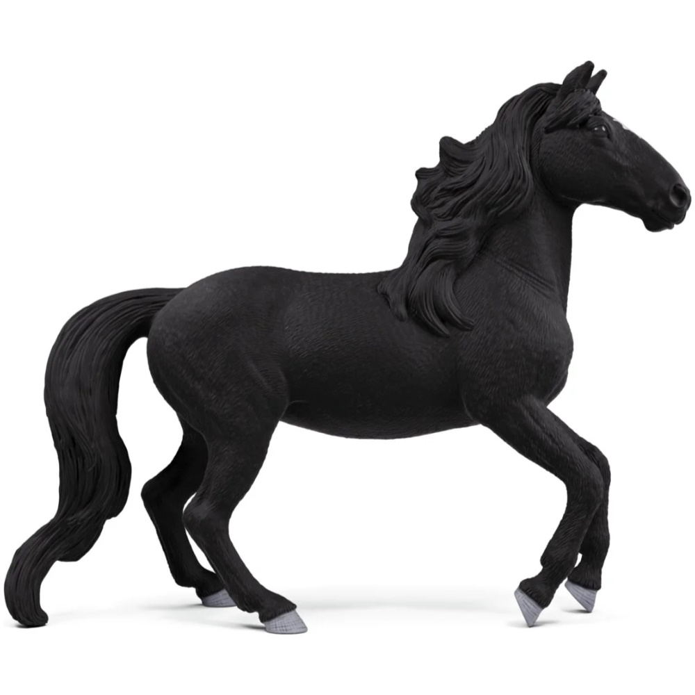 Lusitano Stallion - Image 1