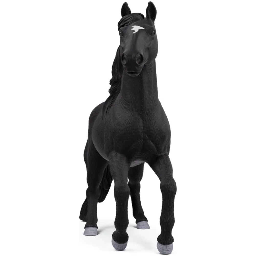 Lusitano Stallion - Image 2
